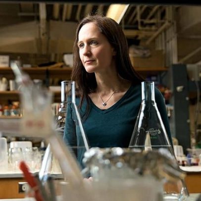 Conflito por metais durante infecção