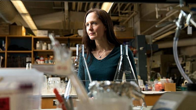 “Understanding how our innate immune system works is important for thinking about the development of new ways to treat infectious disease,” says MIT associate professor of chemistry Elizabeth Nolan.