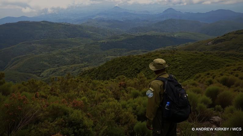 An ICCN Ranger looks out over the view of Kahuzi-Biega National Park, not far from Virunga. Photo courtesy of Andrew Kirkby / WCS.