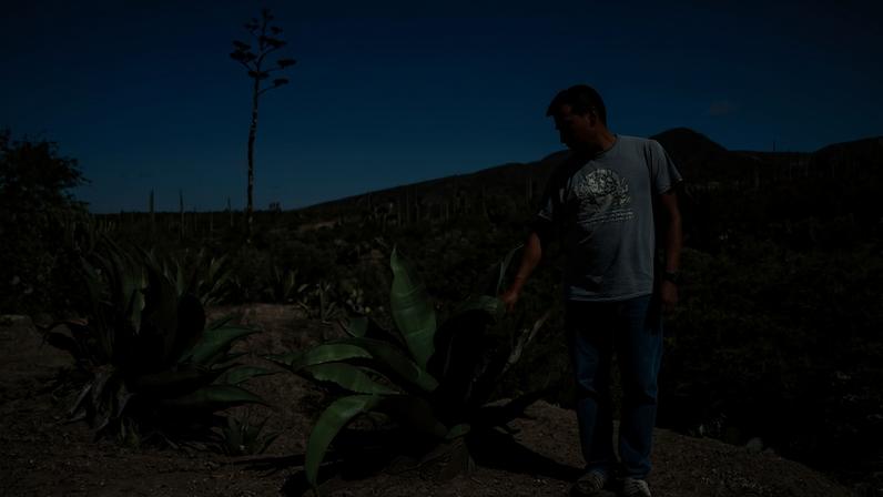 Andres Herrera in an empty palenque (a local mezcal production site) in Santa María Ixcatlán. Image by Noel Rojo for Mongabay.