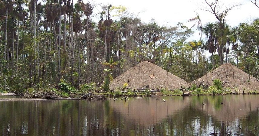 Peru’s rare peatland swamps at risk as illegal gold mining expands