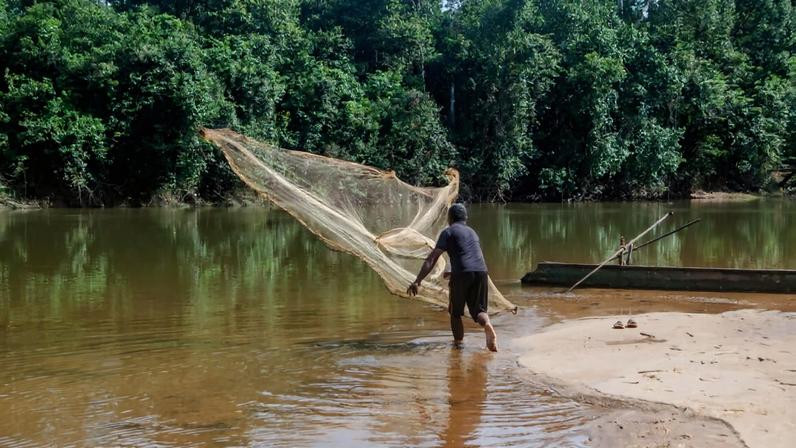 Across the Southern Cardamom REDD+ project in southwest Cambodia, communities have alleged abuse at the hands of the project developer.