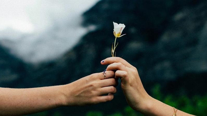 What Is the Difference between Forgiving, Forgetting, and Reconciling?