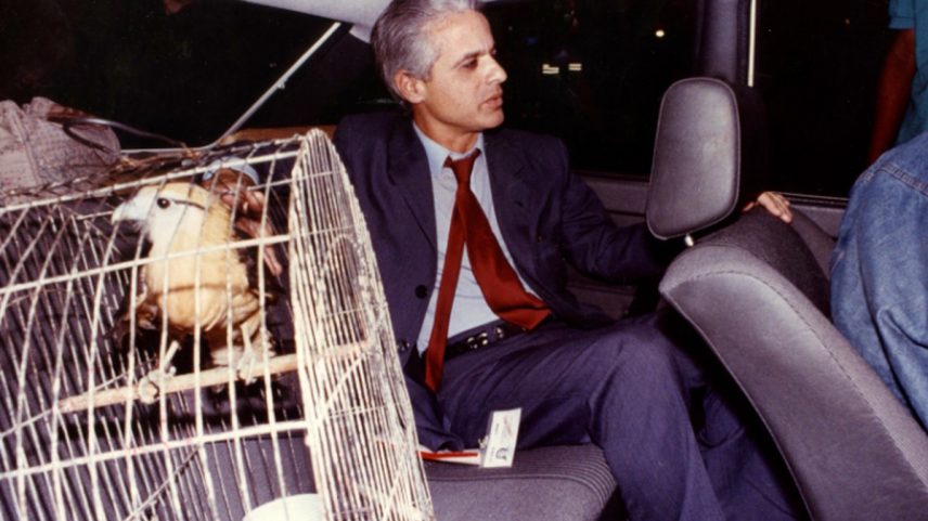 Roberto Medina com o gavião na gaiola depois de ser libertado, em 1990 (Foto: Chiquito Chaves/Agência O GLOBO)