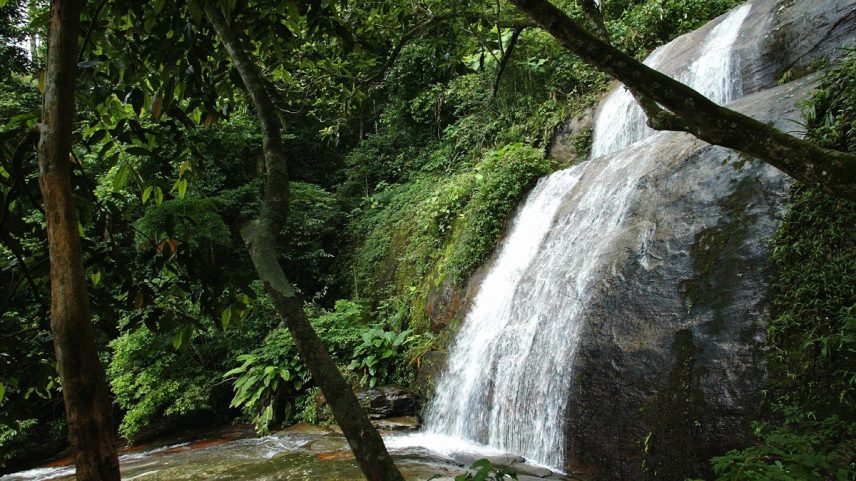 Cachoeira dos Primatas, na Zona Sul do Rio (Foto: Infoglobo)
