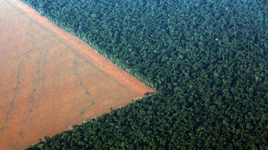 Segundo cientistas, trabalho de neutralização de emissões já não é mais o (Foto: Paulo Whitaker/Reuters)