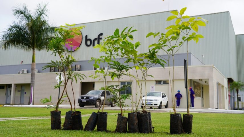 Unidade da BRF em Lucas do Rio Verde (Foto: Prefeitura de Lucas do Rio Verde/divulgação)