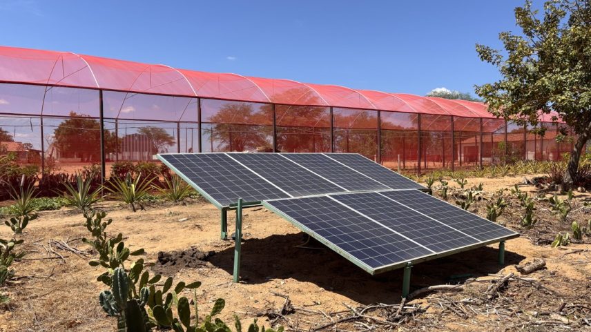 Energia solar no Assentamento Lameirão em Delmiro Gouveia (AL): alta em unidades consumidoras (Foto: Giovanna Revoredo/ASA Brasil)