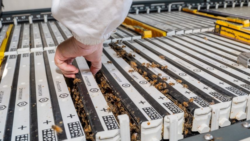 Uma colmeia contém até 15 quadros dentro do BeeHome — Foto: Kelsey McClellan/Bloomberg