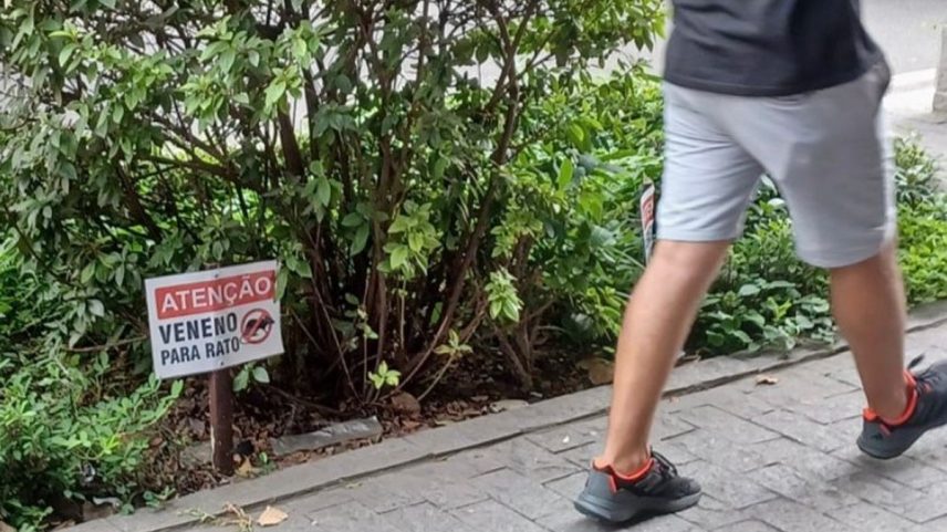 Medida proíbe aplicação de veneno em vias públicas (Foto: Reprodução)