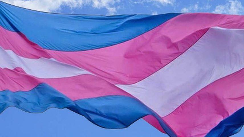 Bandeira trans: menos direitos em propostas que tramitam em oito estados (Foto: Reprodução)