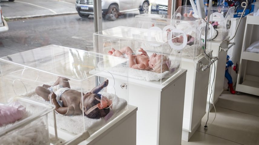 Bebês reborn, bonecas hiper-realistas que imitam recém-nascidos de verdade (Foto: Karen Falcão)