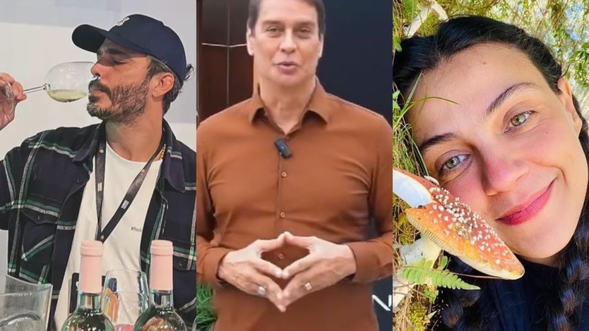 Thiago Rodrigues, Marcello Antony e Letícia Persiles investem em novas carreiras (Foto: Reprodução/Instagram)