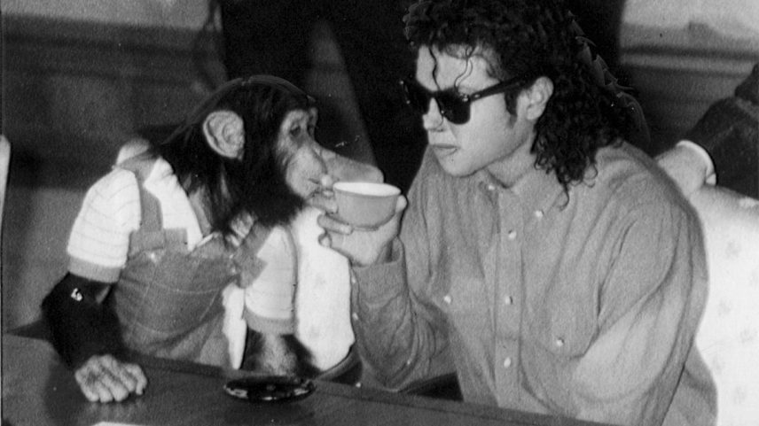 Michael Jackson com o chimpanzé Bubbles em 1987 (Foto: Getty Images)