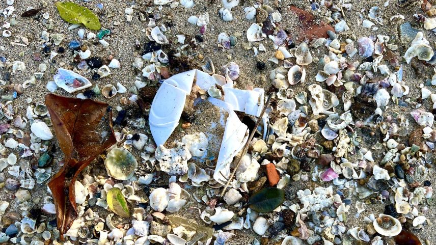 Poluição por plástico em praia brasileira (Foto: Camila Pierobon - 17.out.24/Ecologias Emergentes)