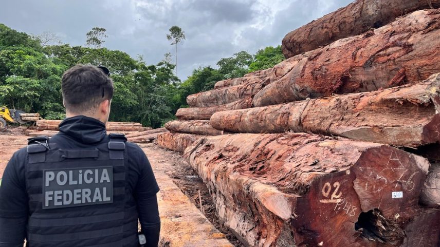 Operação da Polícia Federal combate desmatamento em área de preservação ambiental (Foto: Polícia Federal/Divulgação)