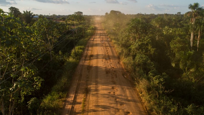Estrada BR-319, no Amazonas. (Foto: Brenno Carvalho / Agência O Globo)