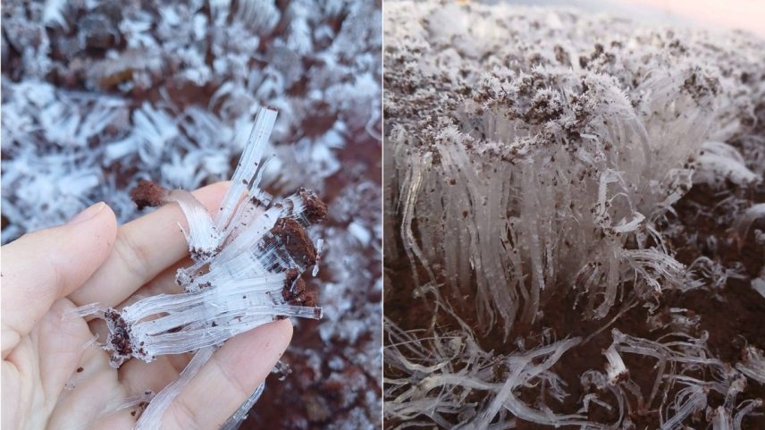 Fenômeno ocorreu em cidades do Sul do Brasil em madrugada congelante (Foto: Reprodução / Facebook)