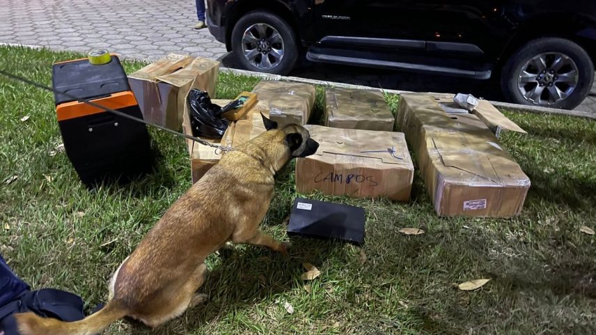 Polícia Federal prende apreende mais de 200kg de drogas na Rodovia Presidente Dutra (Foto: Divulgação)
