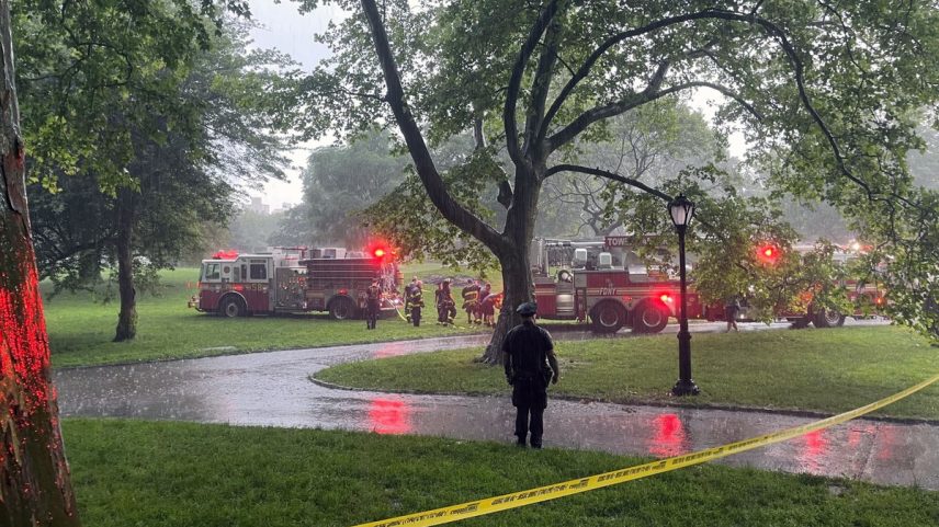 Adolescente de 15 anos sobrevive após ser atingido por raio no Central Park, diz polícia (Foto: The New York Times)