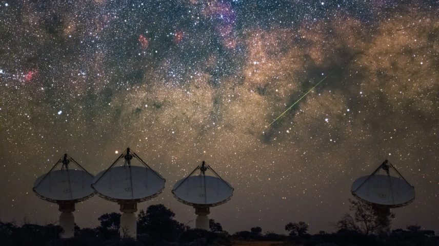 Alex Cherney/CSIRO