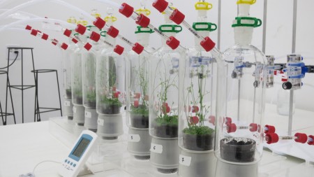 Para garantir que os insetos fossem expostos aos aromas de forma semelhante ao que ocorre na natureza, os cientistas desenvolveram e aperfeiçoaram um difusor para disseminar os compostos onde o inseto fica confinado e faz escolhas a favor ou contra os aromas ofertados (Foto: Fundecitrus)