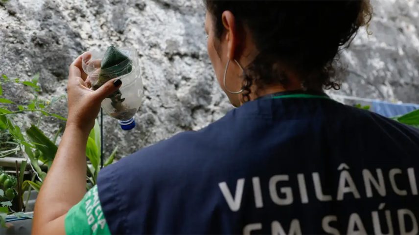 Mulher de cabelos cacheados presos vestindo colete da Vigilância em Saúde coleta larvas de mosquitos da dengue. (Foto: USP Imagens)