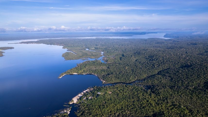 Área com projetos de crédito de carbono na Amazônia (Foto: Fred Rahal & Idesam/Divulgação)