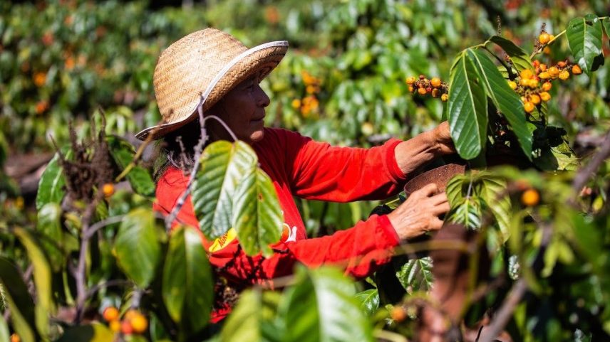 De acordo com a pasta, um edital disciplinará o credenciamento de instituições financeiras que atuarão na concessão de crédito para agricultores familiares (Foto: Camila Batista/Divulgação)