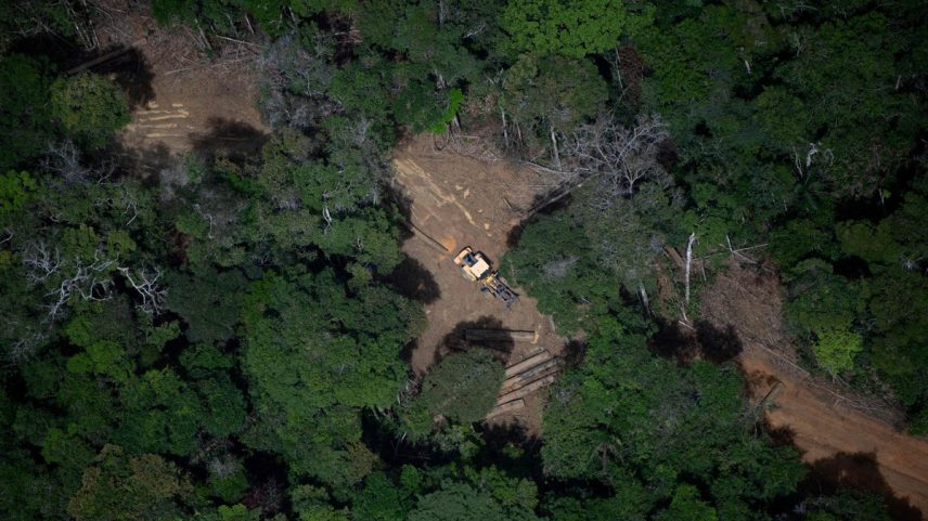 Área desmatada entre Manaus e Manicoré, no estado do Amazonas (Foto: Mauro Pimentel/AFP)