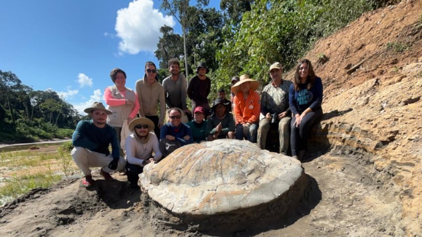 Cientistas e equipe de apoio em volta da carapaça da Stupendemys geographicus. (Foto: Ufac/USP/Unicamp)