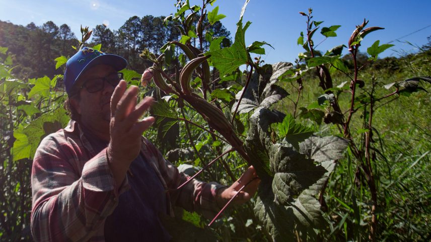 Painelistas no seminário Agroindústria Sustentável, promovido pela Folha, com apoio do Banco do Nordeste. Na foto (da esq. para a dir.): Luiz Demattê, diretor de Produção e Indústria do Grupo Korin; Bruno Blecher, jornalista especializado em agronegócio e sustentabilidade, mediador do evento; Edna Maria Morais Oliveira, chefe-geral da Embrapa Agroindústria de Alimentos; Paulo Pianez, diretor de sustentabilidade da BRF e Marfrig, e Paulo Teixeira, ministro do Desenvolvimento Agrário e Agricultura Familiar. (Foto: Jardiel Carvalho - 23.jul.25/Folhapress)