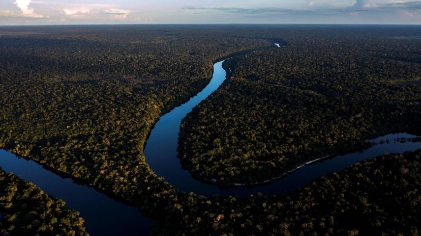 Imagem aérea da floresta amazônica (Foto: Mauro Pimentel/AFP)