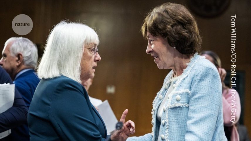 Senadora Susan Collins (à direita), uma republicana do Maine, conversa com a senadora Patty Murray (à esquerda), uma democrata do estado de Washington, em uma reunião do comitê de apropriações em 10 de julho. (Foto: Tom Williams/CQ-Roll Call, Inc via Getty)
