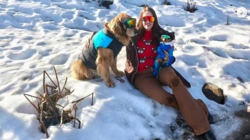 A brasileira Labibi Amaral Mello, de Marília (SP), que morreu em um acidente de carro na Argentina durante uma viagem que fazia (Foto: Reprodução/Instagram/@domgretriever)