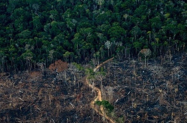 Proposta alerta para o risco de colapso climático global caso a Amazônia atinja seu ponto de não retorno (Foto: GETTY IMAGES)