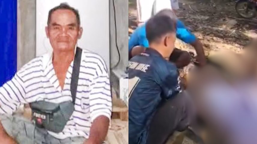 Agricultor é engolido por píton de oito metros na Indonésia (Foto: Reprodução/DailyMail e Reprodução/X)