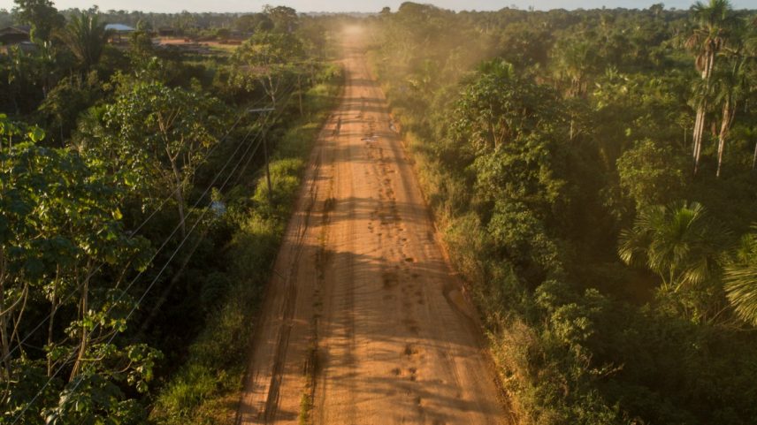 Estrada BR-319, no Amazonas. (Foto: Brenno Carvalho / Agência O Globo)