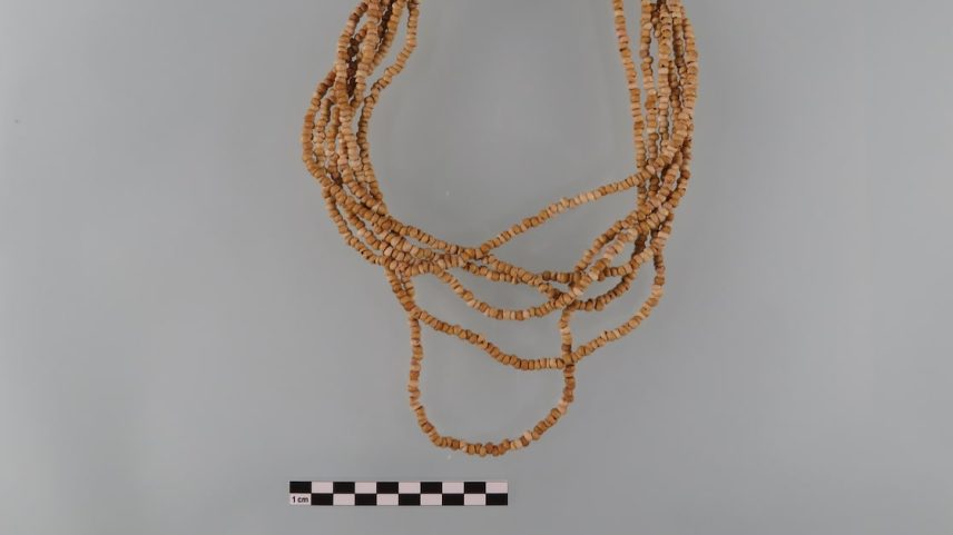 Colar de 8.500 anos, feito com contas de sementes dispostas em seis voltas. (Foto: Divulgação)