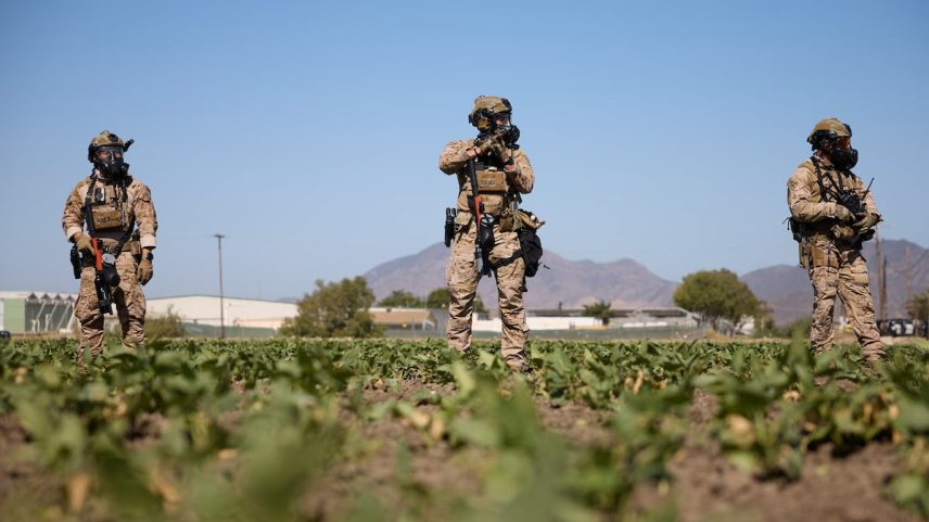 Agentes vigilan em Camarillo, Califórnia, no dia 10 de julho de 2025, durante as redadas em Glass House Farms. (Foto: Allison Dinner - EFE)
