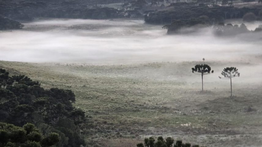 Geada em Santa Catarina, em 2024 — Foto: Mycchel Legnaghi