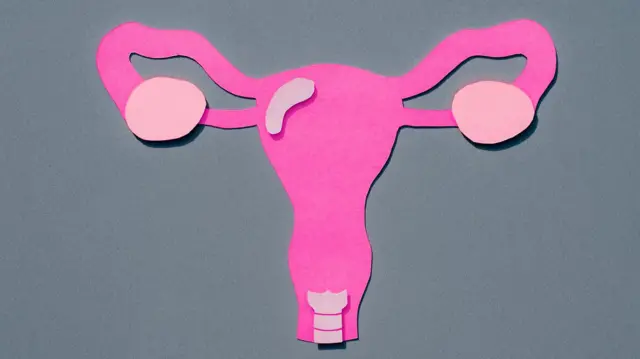 O útero não se encontra exatamente na mesma posição em todas as mulheres - Imagem: Getty Images