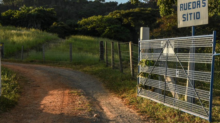 O já conhecido Porco San Zé, que segue no menu de dez anos d'A Casa do Porco (Foto: Mauro Holanda/Divulgação)