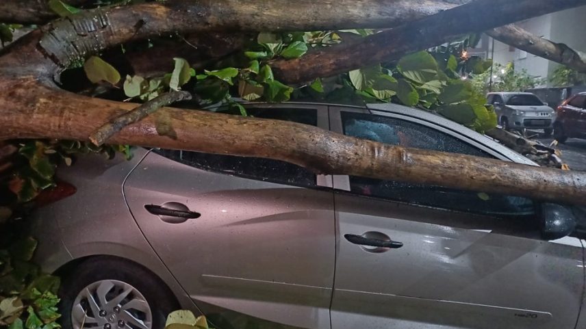 Ventania derruba árvore, que atinge carro na Zona Leste de São Paulo (Foto: Reprodução/TV Globo)