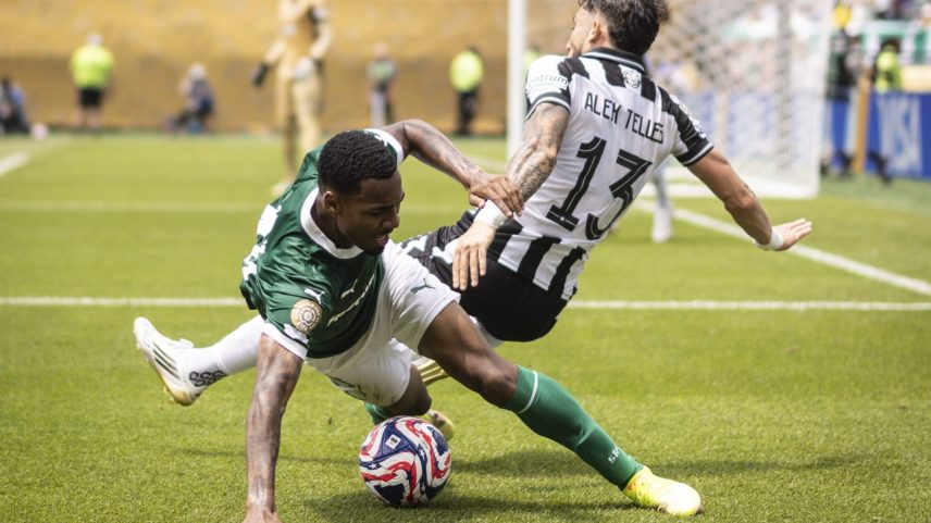 Botafogo e Palmeiras se enfrentaram neste sábado, 28 (Foto: Sport Press Photo/Getty Images)