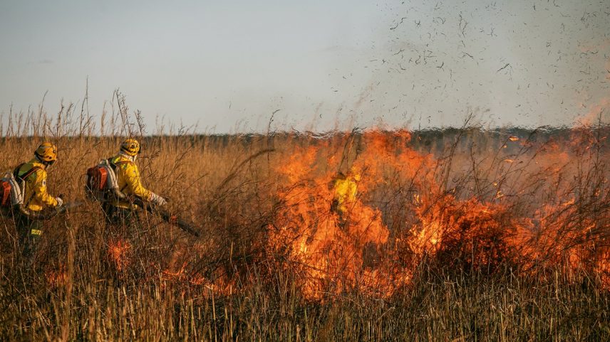 Ação contra o fogo: risco elevado (Foto: Keiny Andrade/Fundação Bunge)