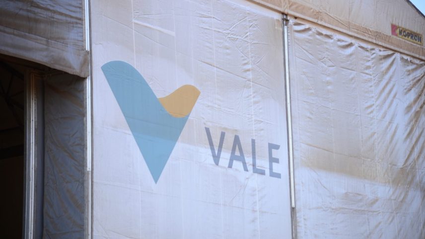 Vale: Baixa exposição dos investidores domésticos, pessimistas com o minério de ferro e cautelosos quanto à capacidade de crescimento operacional (Foto: Tomaz Silva/Agência Brasil)
