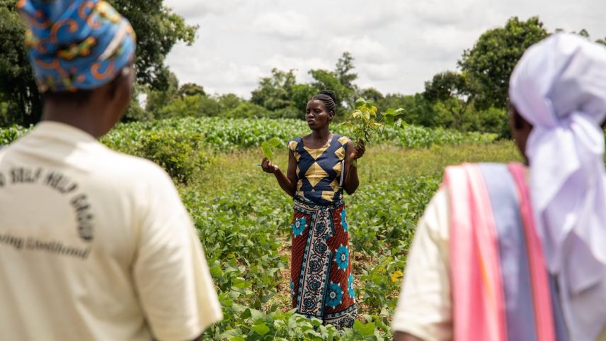 Sprina Robi Chacha explica a outros agricultores do condado de Migori (ao sudoeste de Quênia) as vantagens de mudar os cultivos de tabaco por alimentos (Foto: Organização Mundial de la Salud).