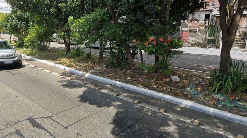 Trecho da avenida Dr. Assis Ribeiro, em São Paulo; relatório apontou que ciclovia tem tamanho irregular no local (Foto: Reprodução/Google Maps)