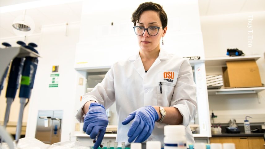 Tala Navab-Daneshmand trabalhando em um projeto para analisar amostras de água residuais em busca de resistência a antibióticos, cuja concessão foi encerrada pela Agência de Proteção Ambiental dos EUA. (Foto: Thuy T. Tran)